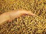 Best Quality wood pellets Bio-mass/wood pellet fuel for sale - фото 2