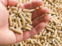 Cheap Price Wood Pellet Biomass / Wood Pellets