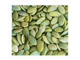 Natural Fresh Pumpkin Seeds and Kernels Green Processed Top Grade 25KG Belgium - фото 3