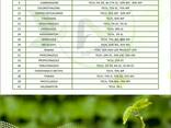 Pesticides manufacturer and supplier worldwide - photo 7