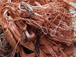 Top Grade 99.9% Purity Copper Scrap Industrial Berry Copper Wire Bulk 20kg - photo 3